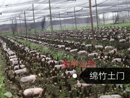 &#27431;&#23453;&#32593;&#39029;&#29256;&#30331;&#24405;&#20837;&#21475;&#45;&#27431;&#23453;&#40;&#20013;&#22269;