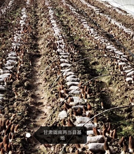 &#27431;&#23453;&#32593;&#39029;&#29256;&#30331;&#24405;&#20837;&#21475;&#45;&#27431;&#23453;&#40;&#20013;&#22269;