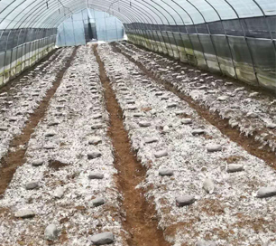 &#27431;&#23453;&#32593;&#39029;&#29256;&#30331;&#24405;&#20837;&#21475;&#45;&#27431;&#23453;&#40;&#20013;&#22269;