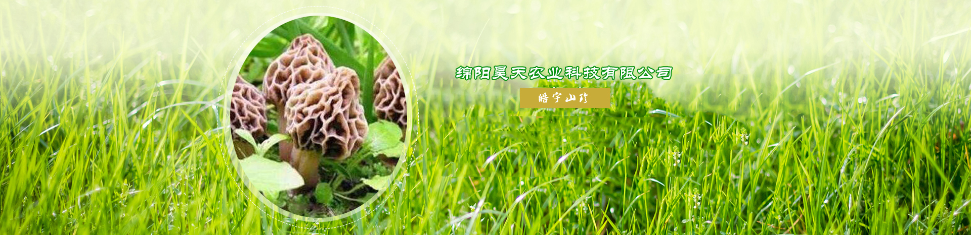 &#27431;&#23453;&#32593;&#39029;&#29256;&#30331;&#24405;&#20837;&#21475;&#45;&#27431;&#23453;&#40;&#20013;&#22269;